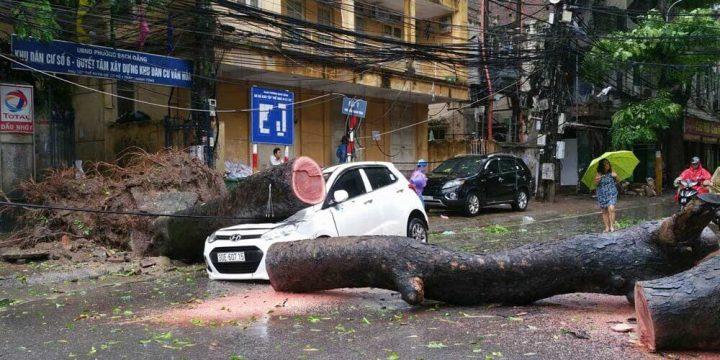 Tóm tắt về bảo hiểm xe PVI dành cho người mới